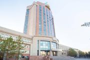 Безопасная дорога: МВД призывает водителей соблюдать ПДД